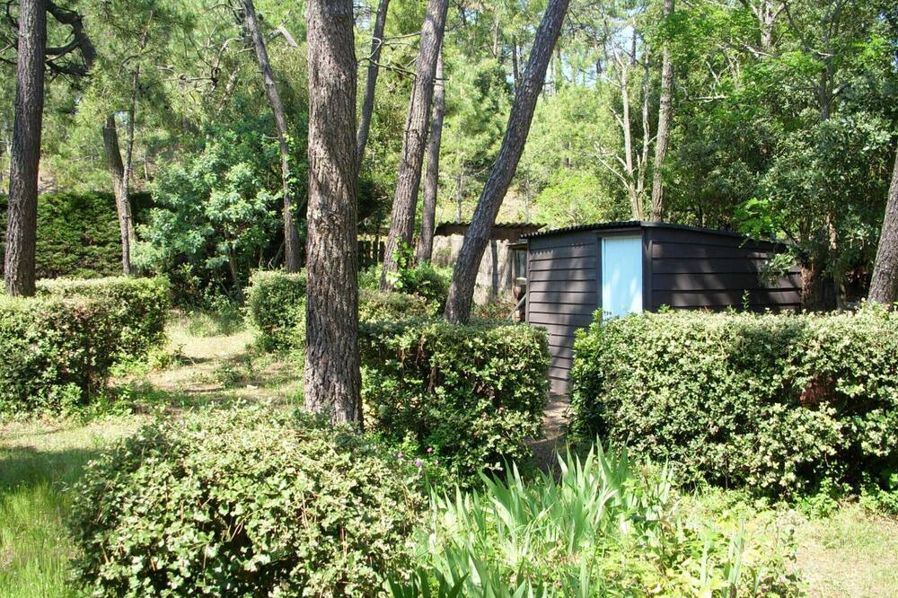 Photo of Outdoor in Fromentine