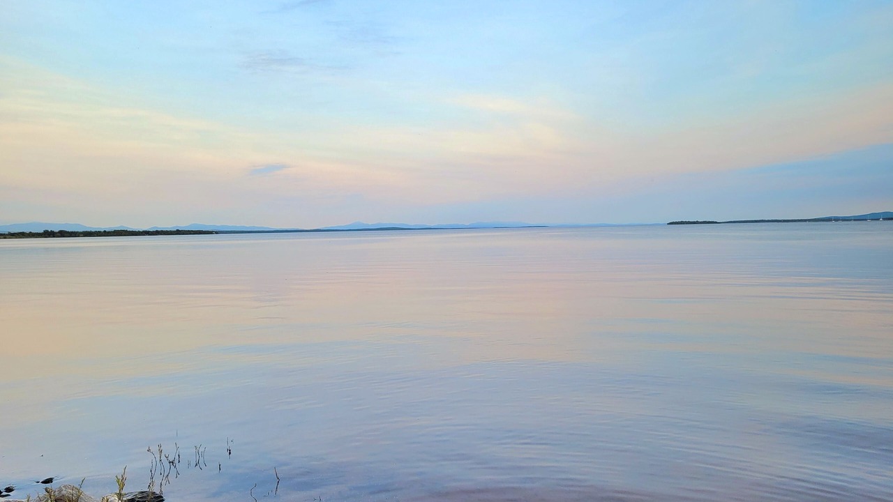 Photo of Others in Plattsburgh