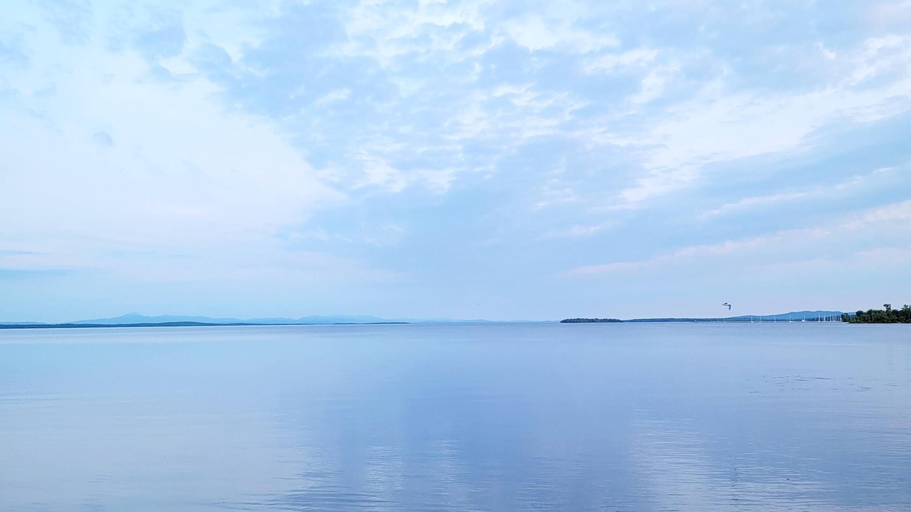 Photo of Others in Plattsburgh