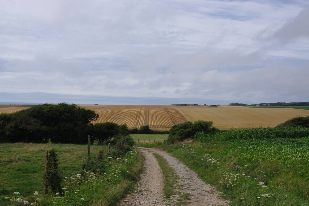 Photo of Others in Audresselles