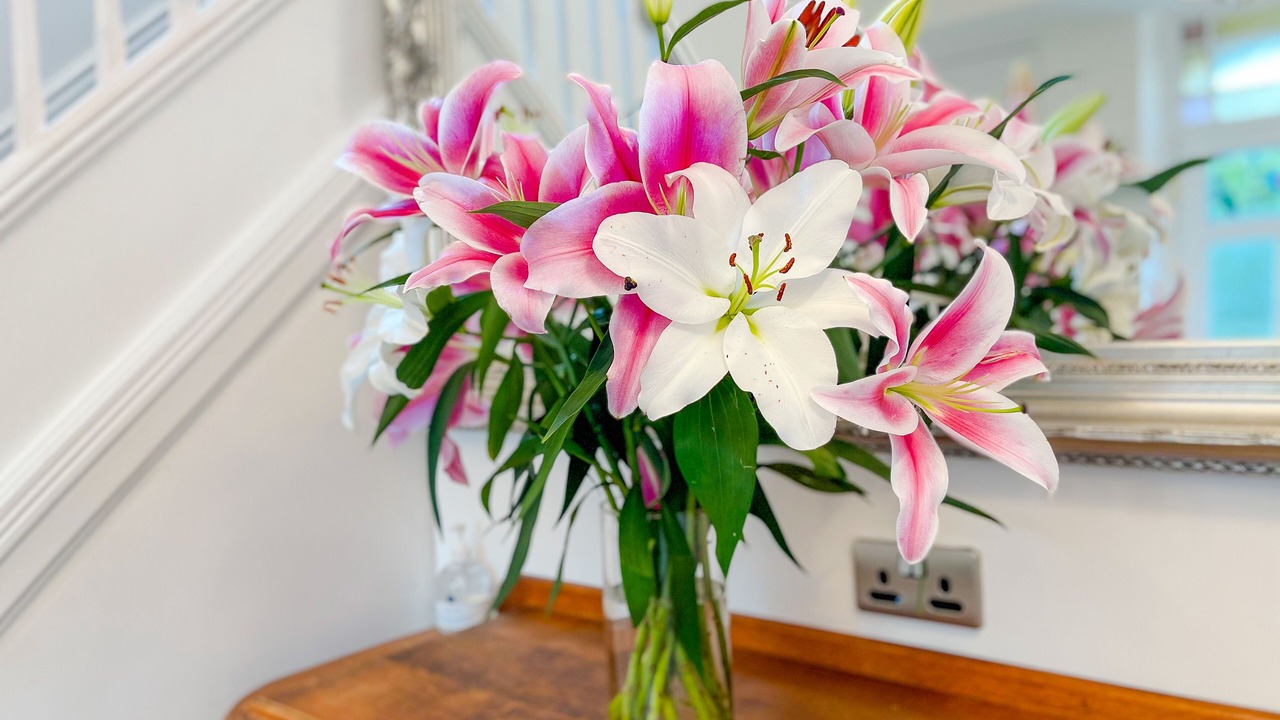 Photo of Others in Trafford