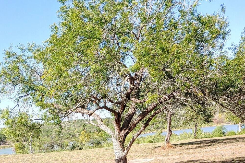 Photo of Outdoor in Mathis