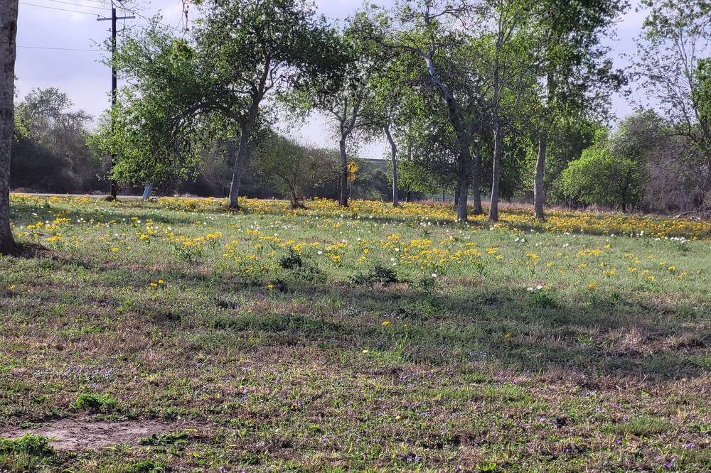 Photo of Outdoor in Mathis