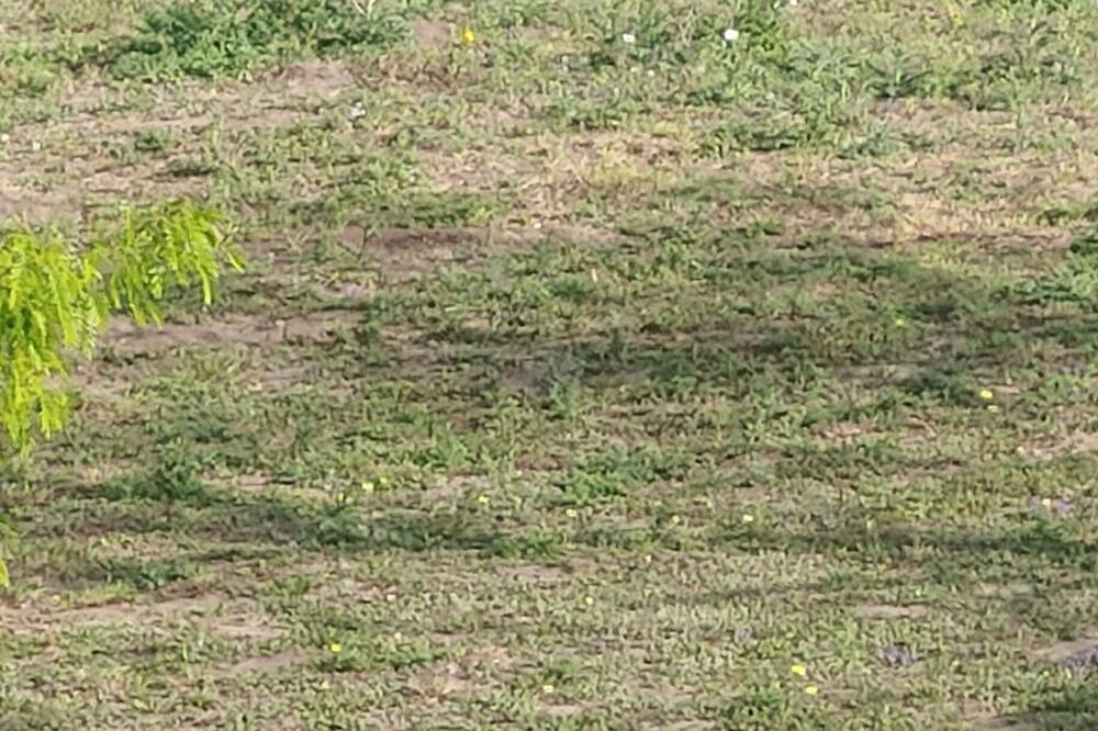 Photo of Outdoor in Mathis