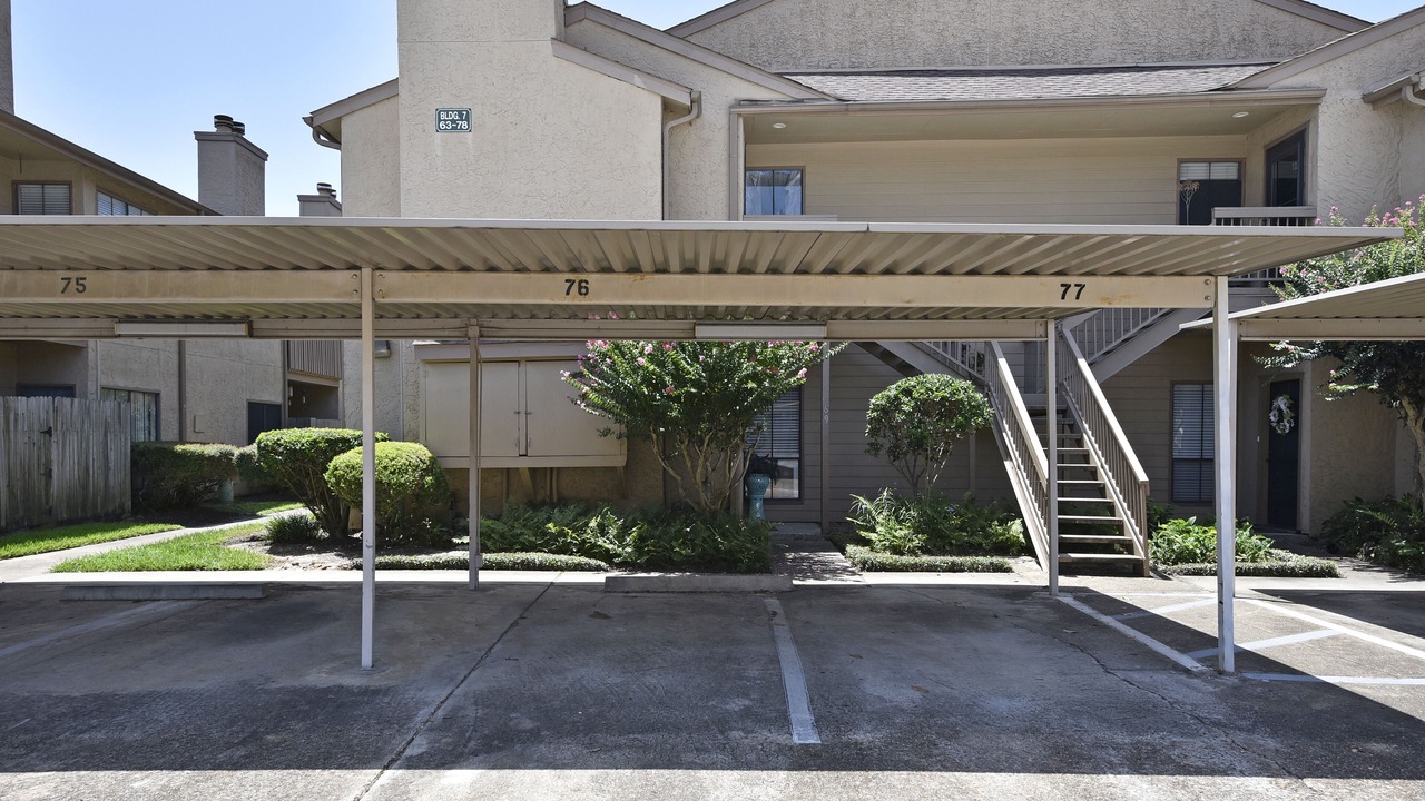 Photo of Outdoor in Garden Oaks