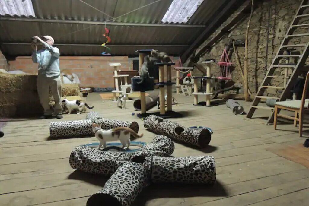 Photo of Outdoor in Champsac