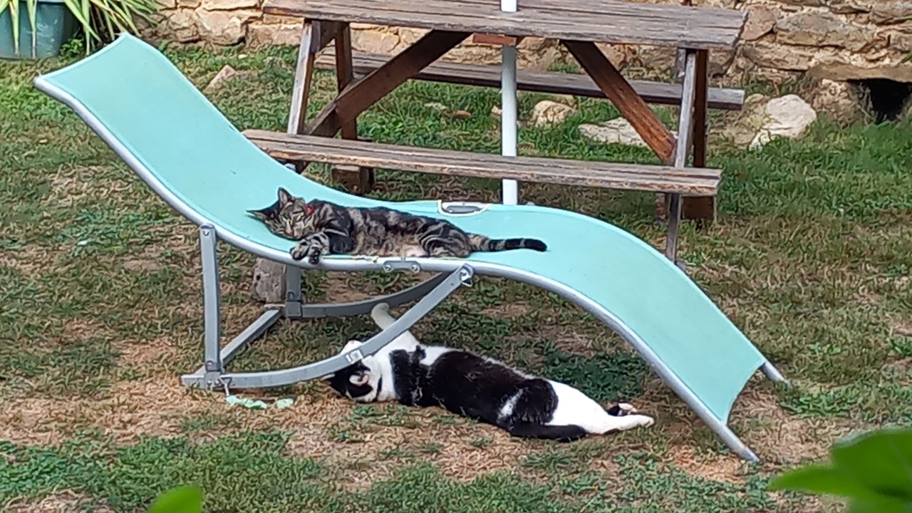 Photo of Outdoor in Champsac