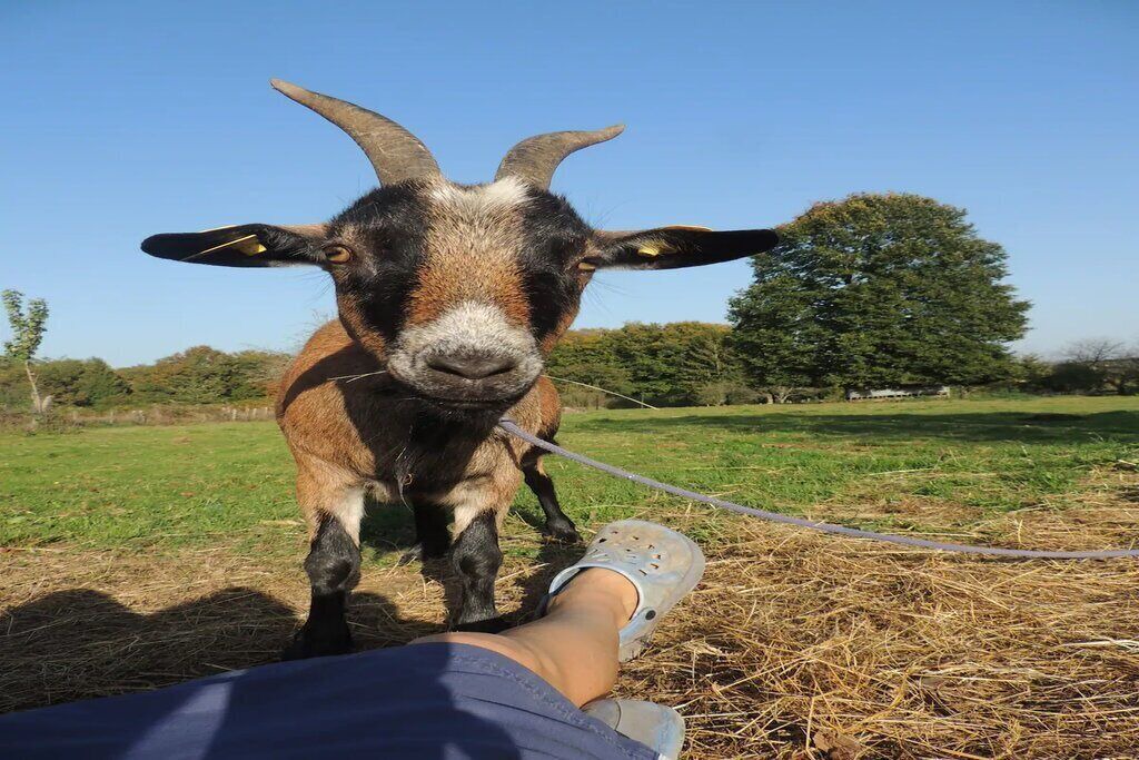 Photo of Others in Champsac