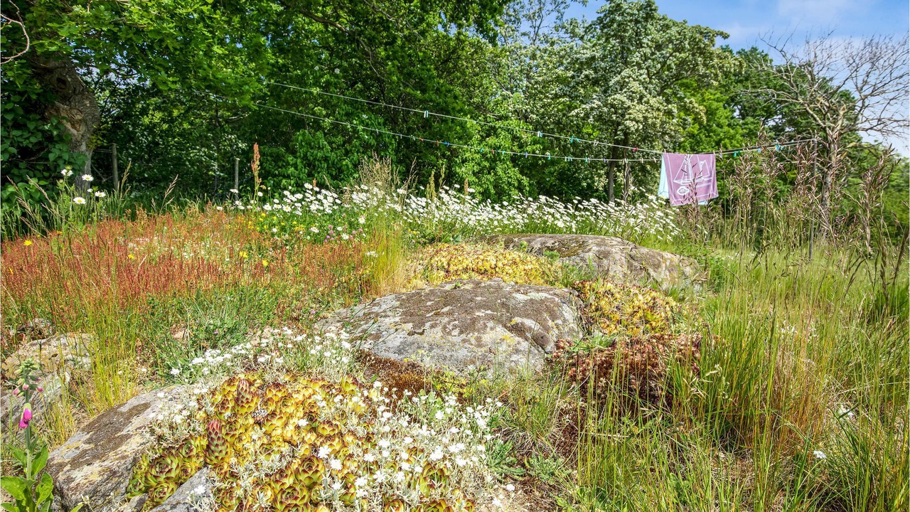 Photo of Outdoor in Østermarie