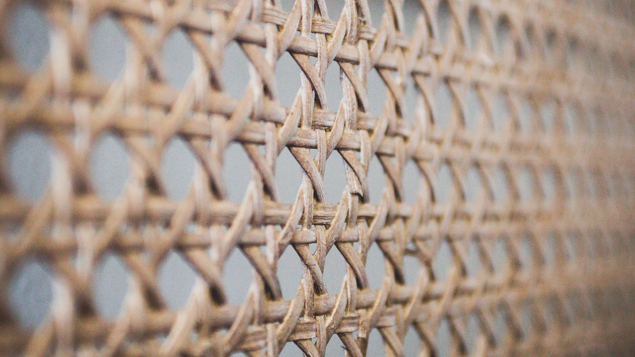 Photo of Others in Daly City