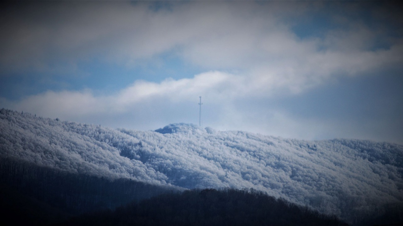 Photo of Others in Mountain City