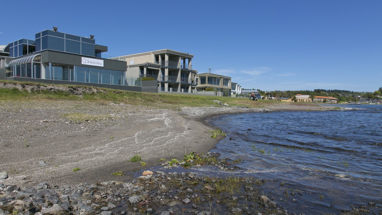 Photo of Others in Waipahihi