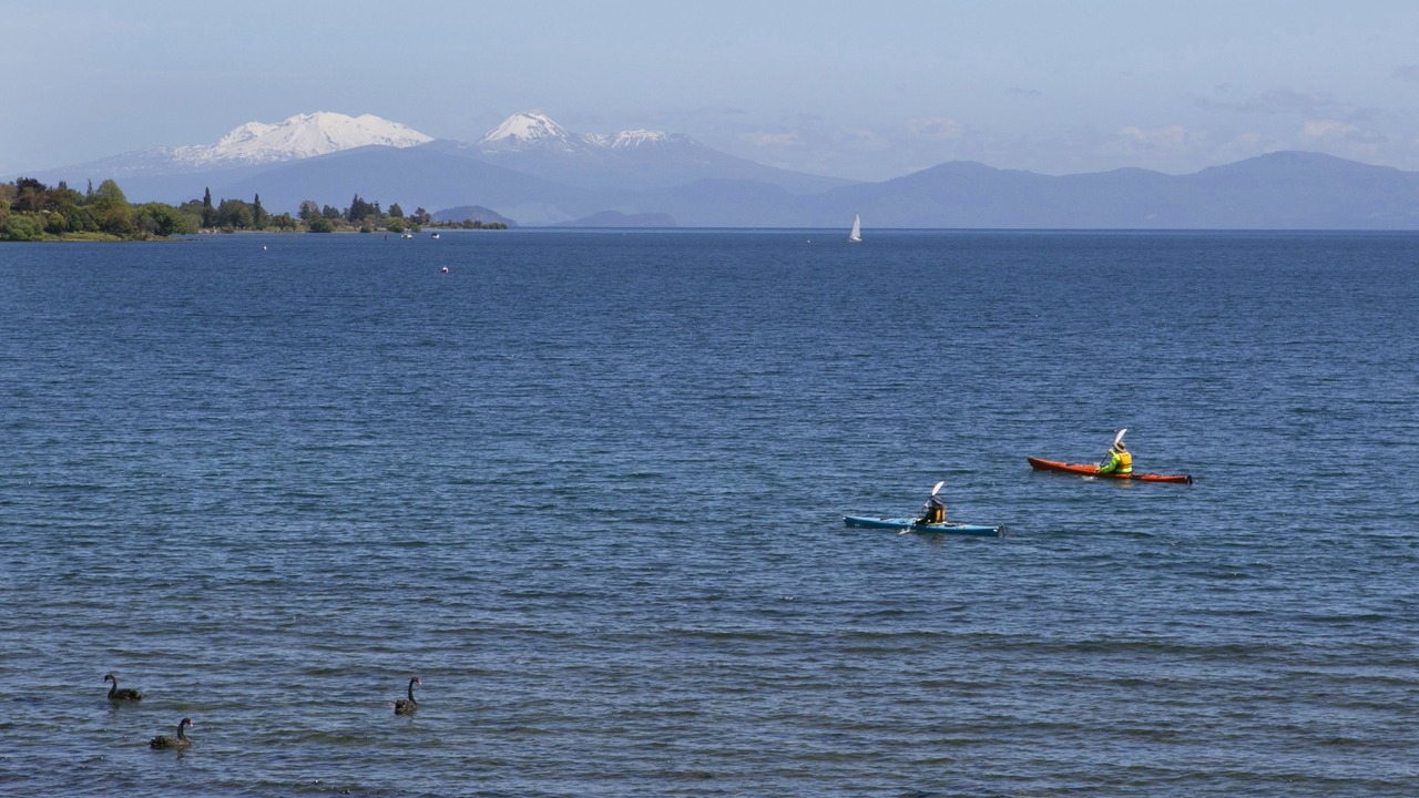 Photo of Others in Waipahihi
