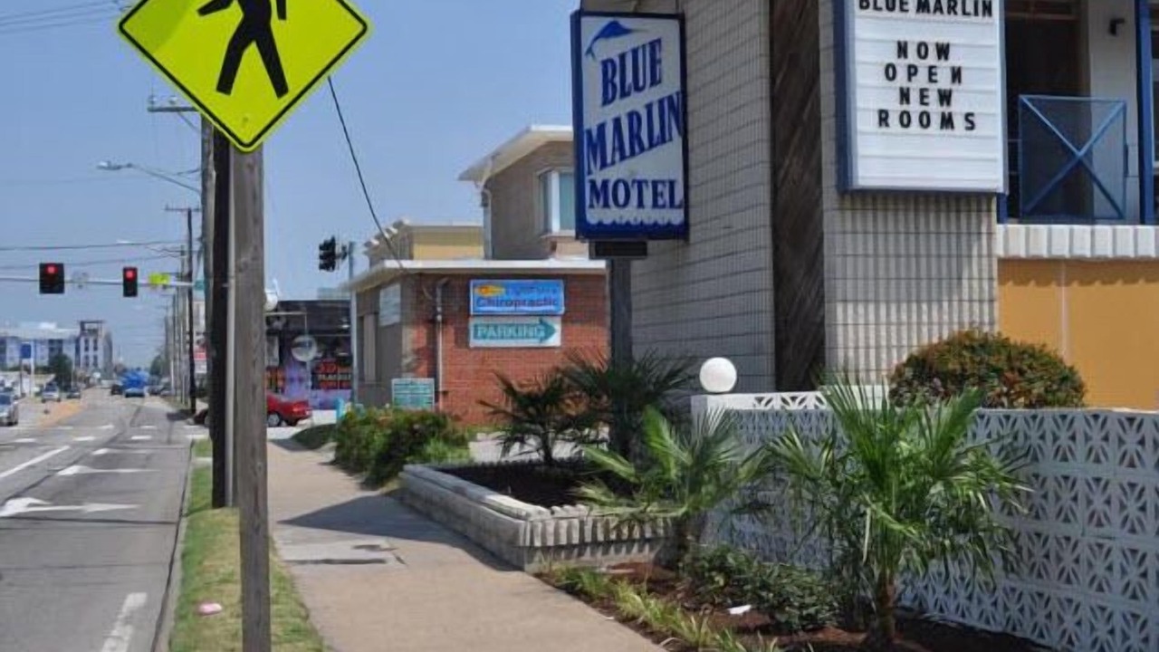 Photo of Others in Northeast Virginia Beach