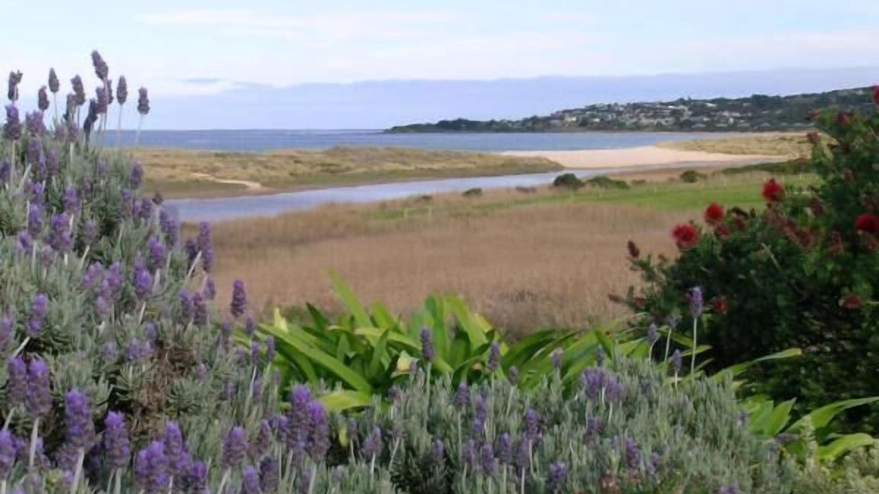 Photo of Others in Apollo Bay