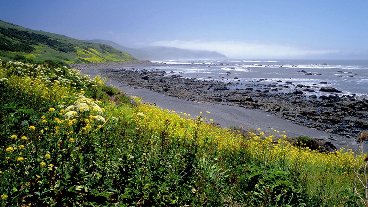 Photo of Outdoor in Ferndale