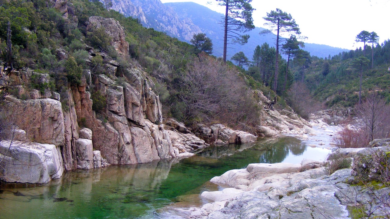 Photo of Outdoor in Pinarellu