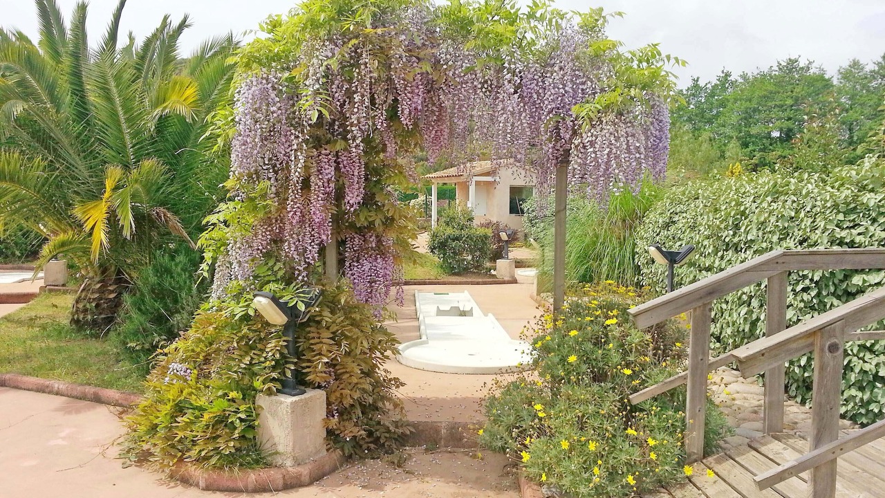 Photo of Outdoor in Pinarellu