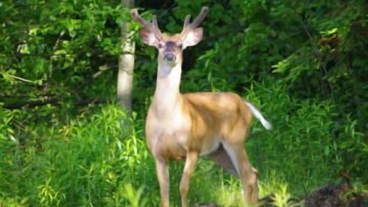 Photo of Others in Elmsdale