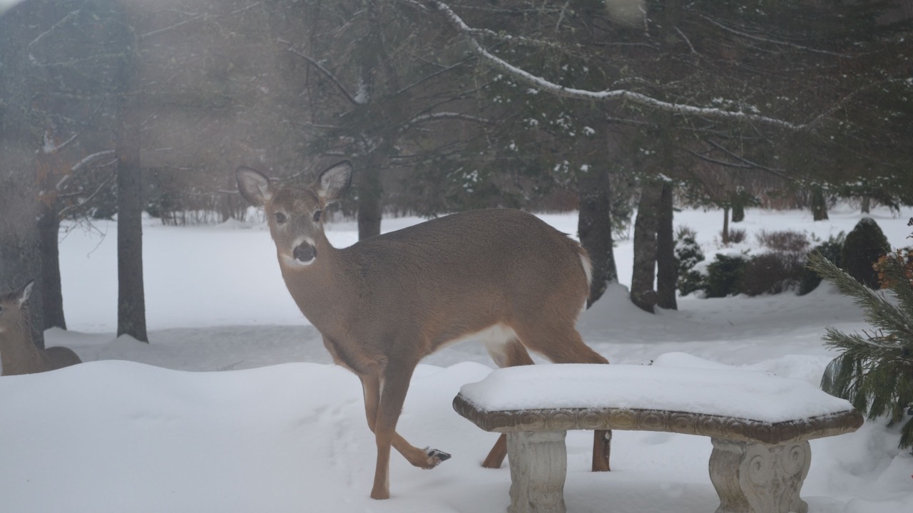 Photo of Outdoor in Elmsdale