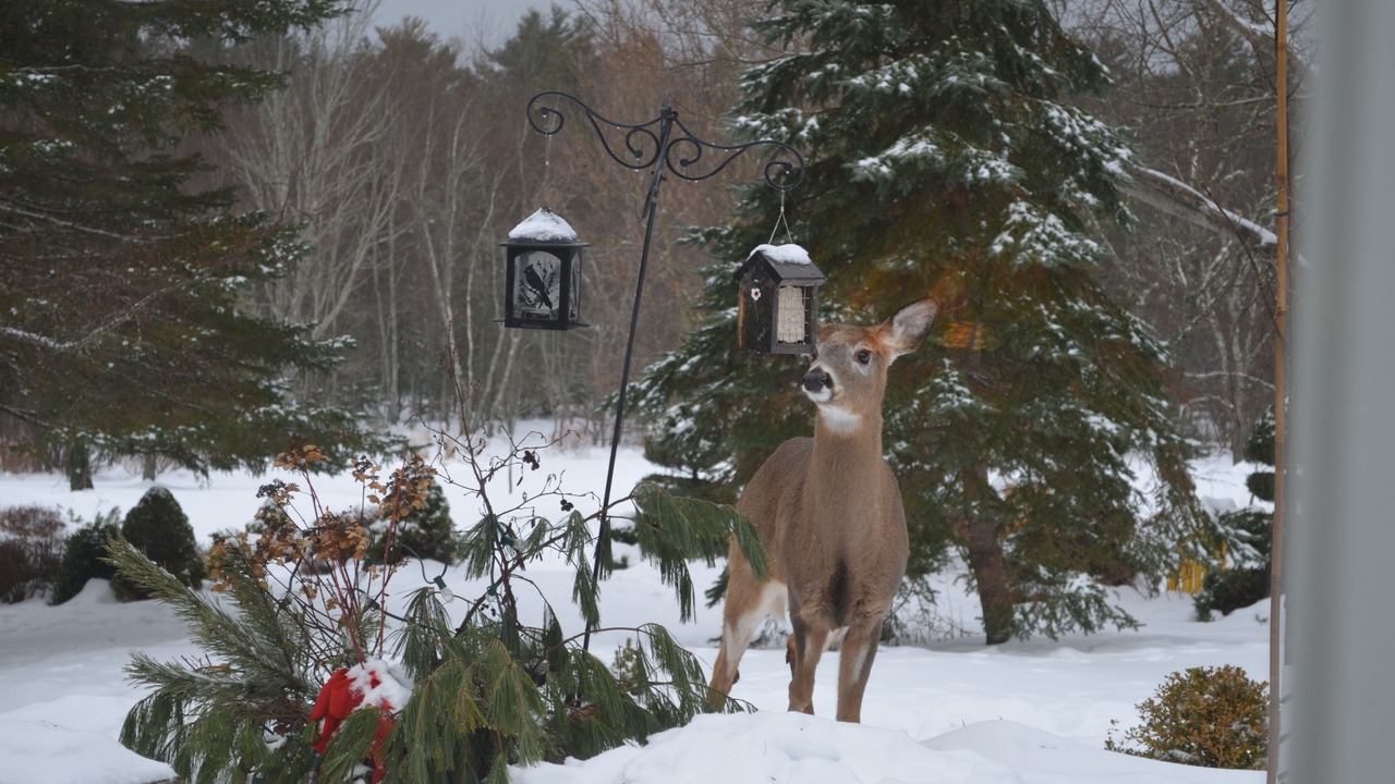 Photo of Others in Elmsdale