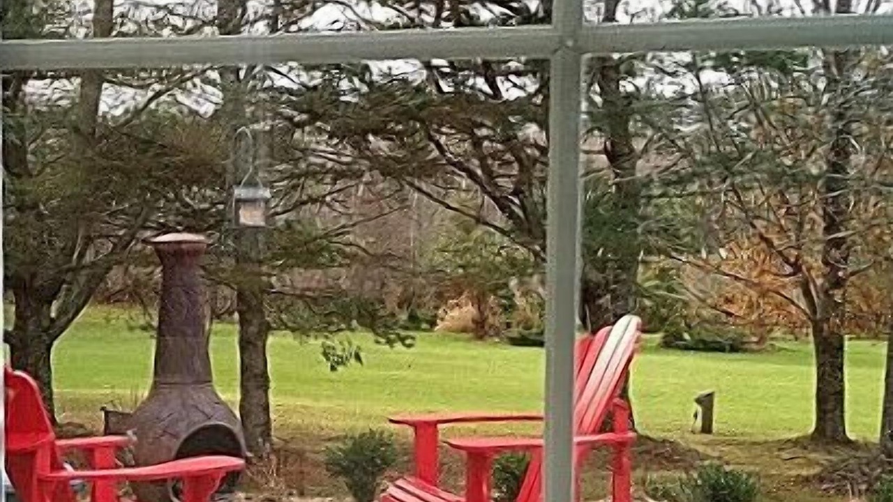 Photo of Others in Elmsdale