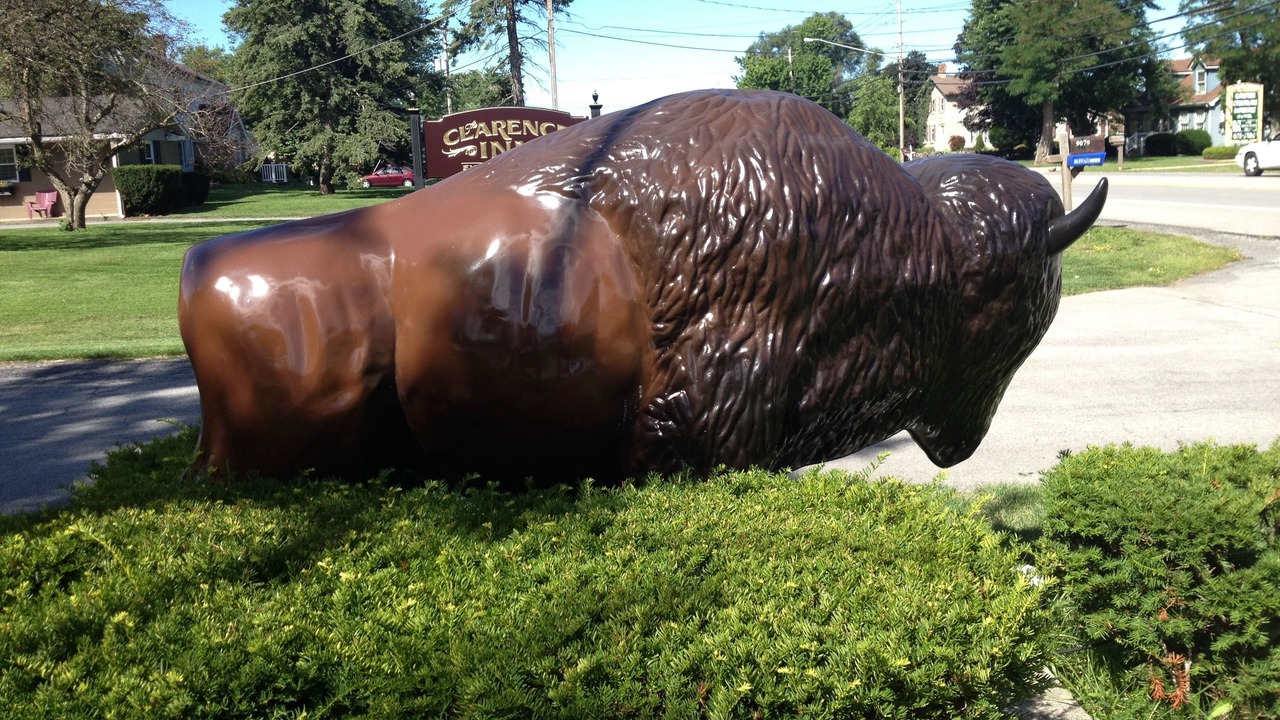 Photo of Others in Clarence