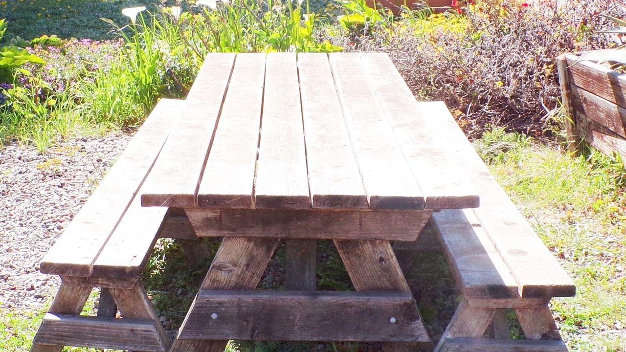 Photo of Outdoor in Fort Bragg