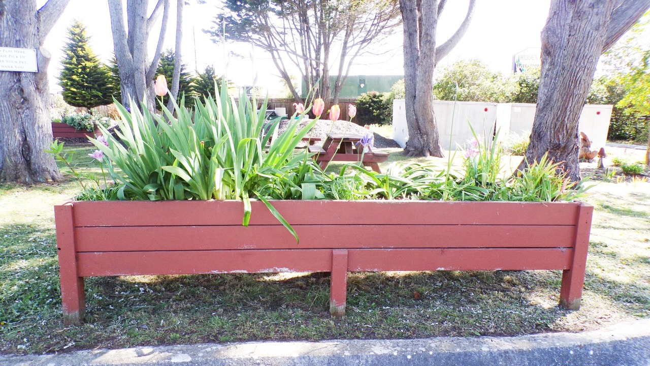 Photo of Outdoor in Fort Bragg