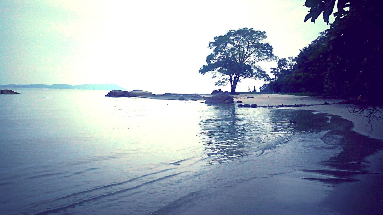 Photo of Others in Kuala Teriang