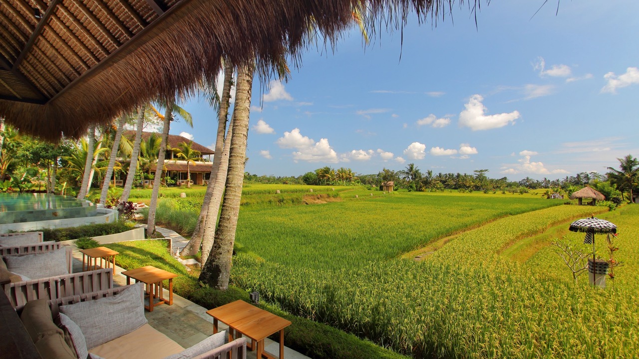 Photo of Others in Kedewatan