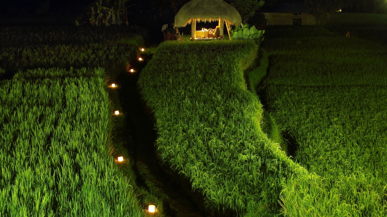 Photo of Outdoor in Kedewatan