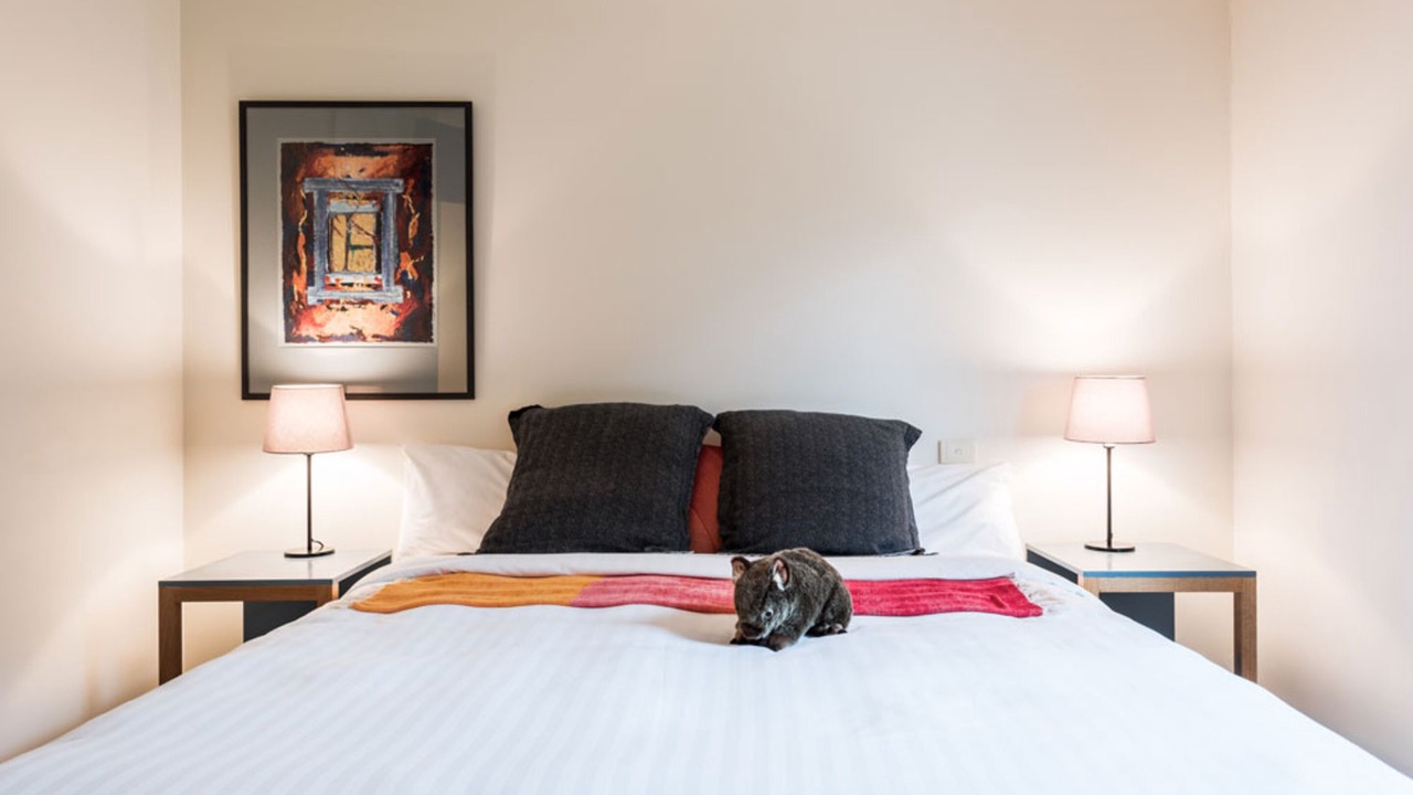 Photo of Others in Kalorama