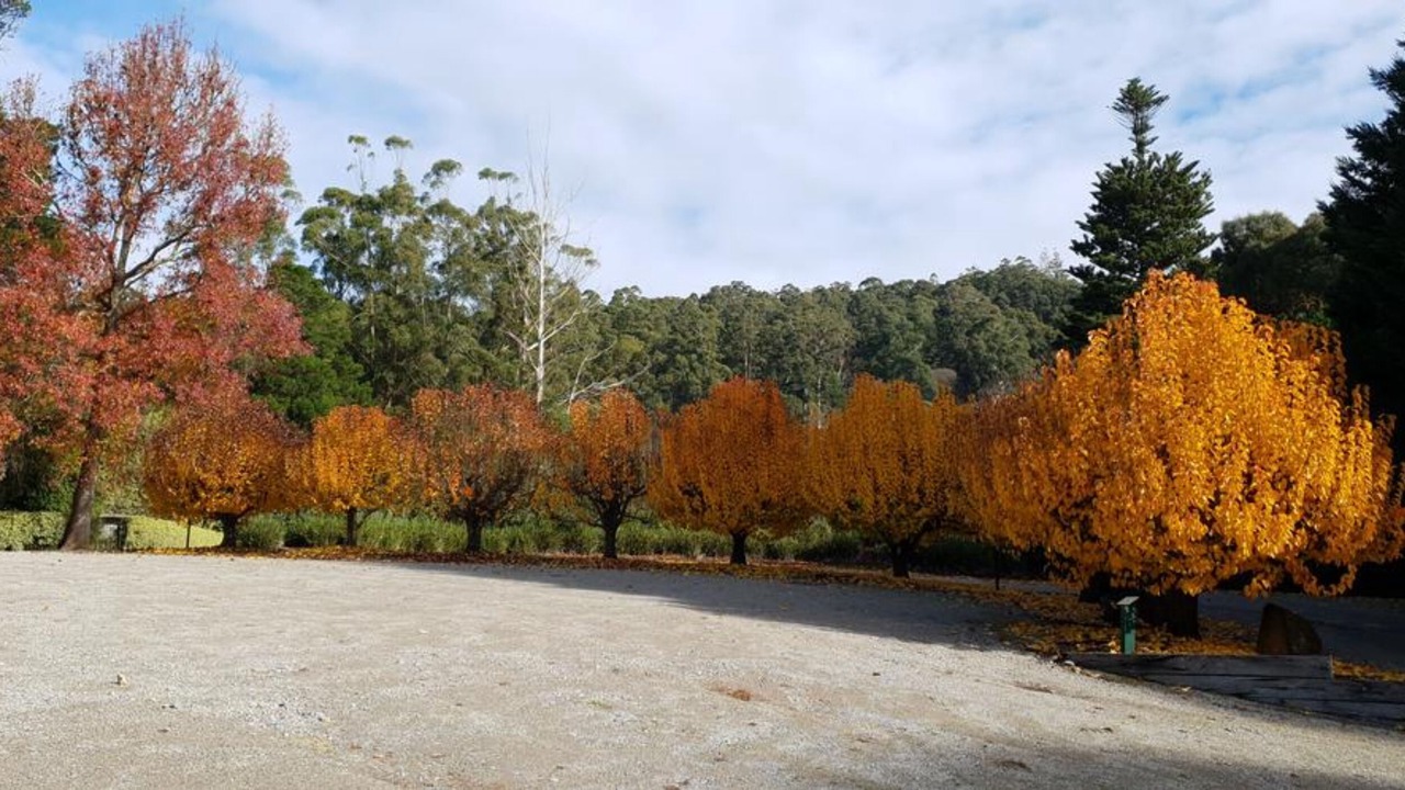 Photo of Others in Kalorama