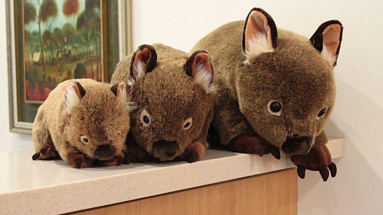 Photo of Others in Kalorama