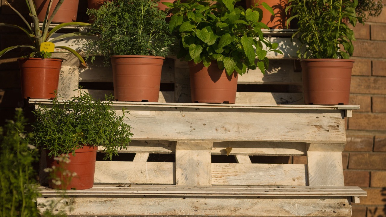 Photo of Outdoor in Cellers