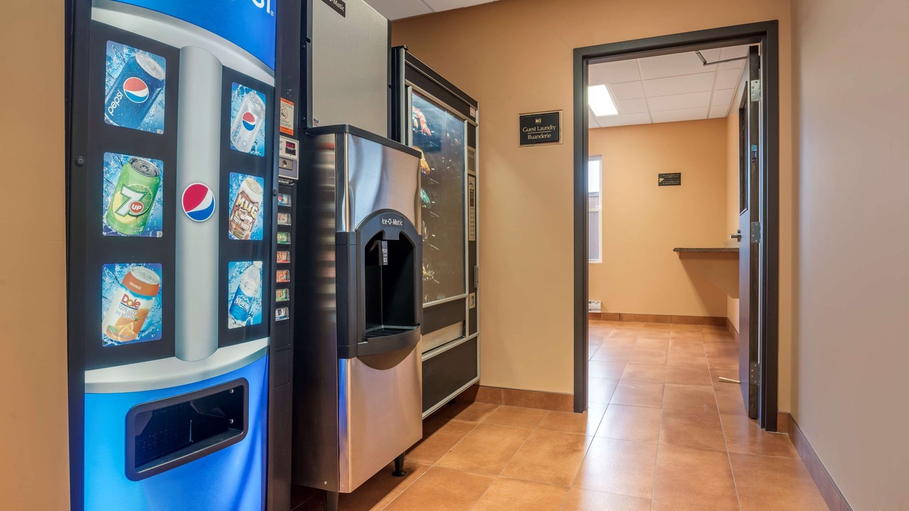 Photo of Others in Bathurst