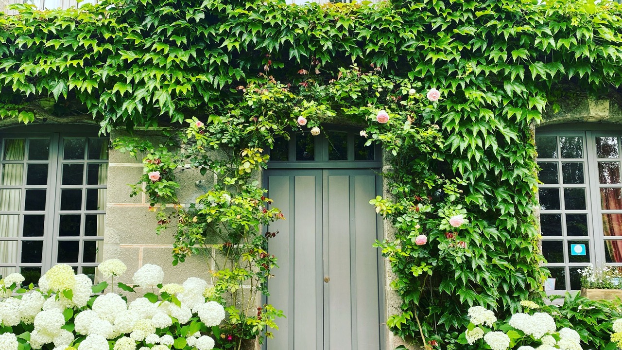 Photo of Others in Pennedepie