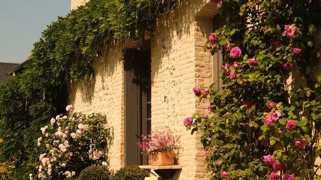 Photo of Outdoor in Pennedepie