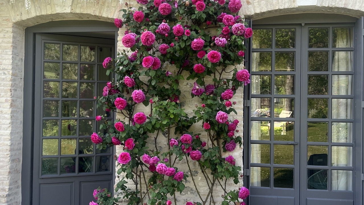 Photo of Outdoor in Pennedepie