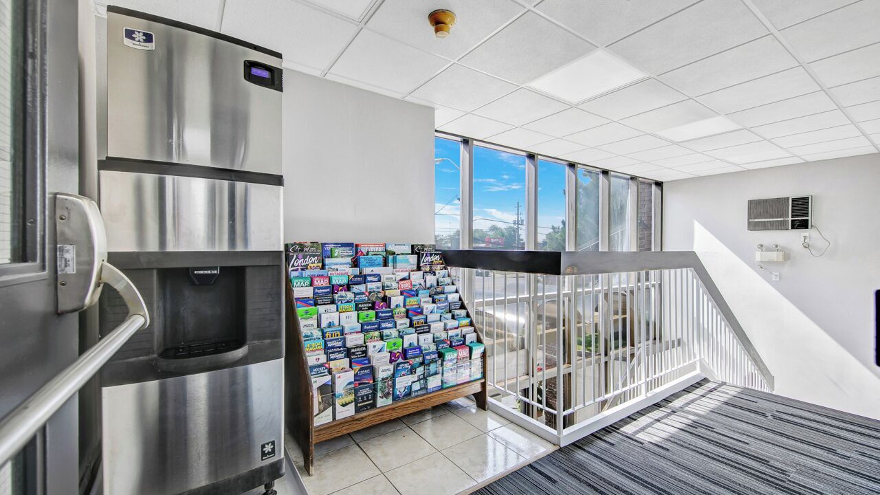 Photo of Others in Islington - City Centre West