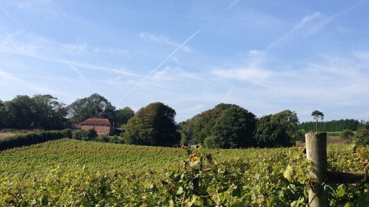 Photo of Others in Hawkinge