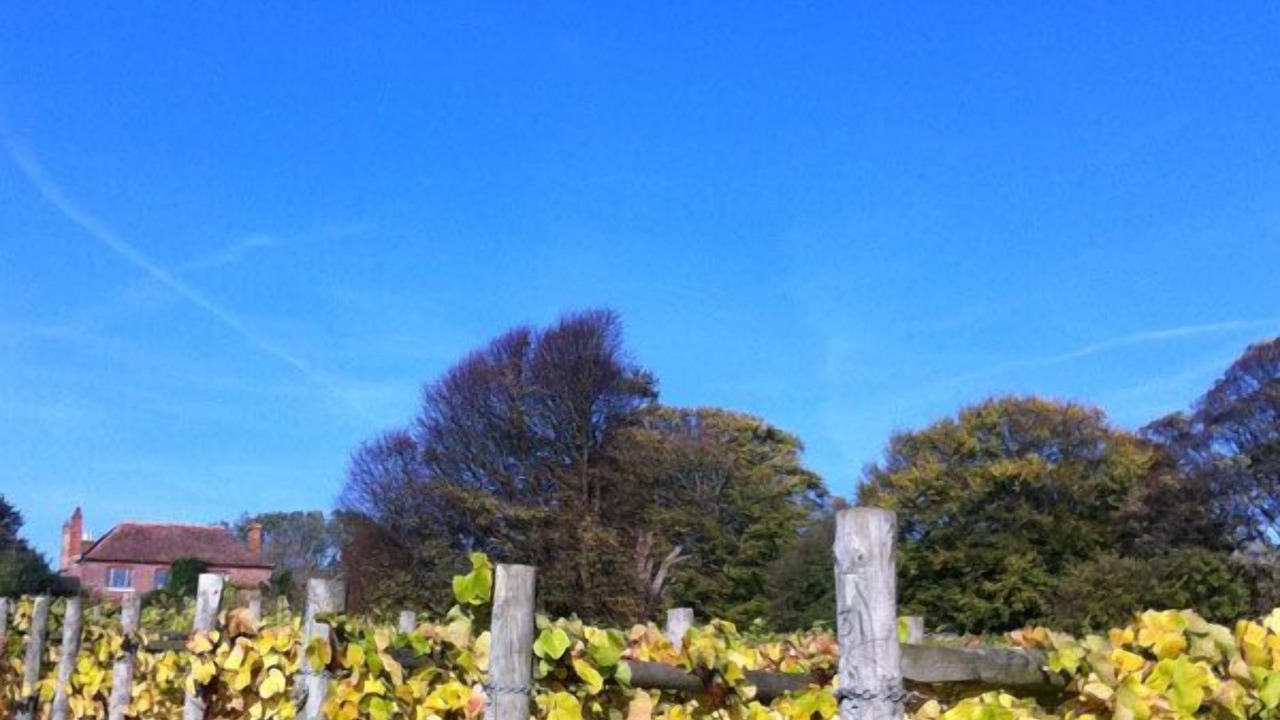 Photo of Others in Hawkinge