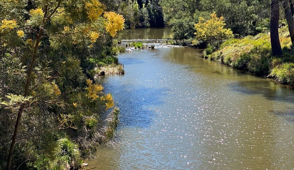 Photo of Outdoor in Berrima