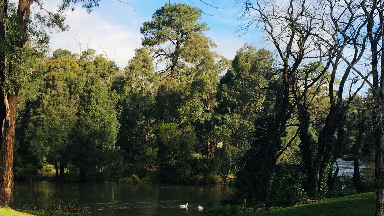 Photo of Outdoor in Berrima