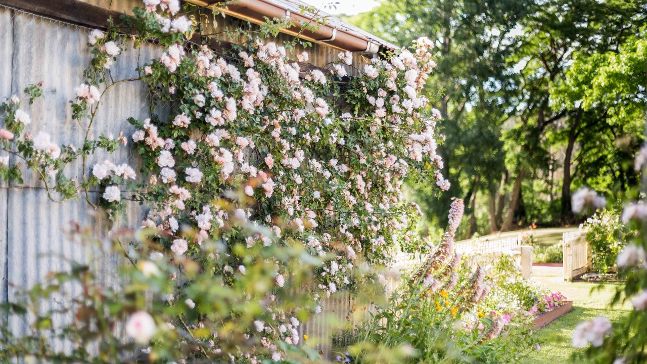 Photo of Outdoor in Berrima
