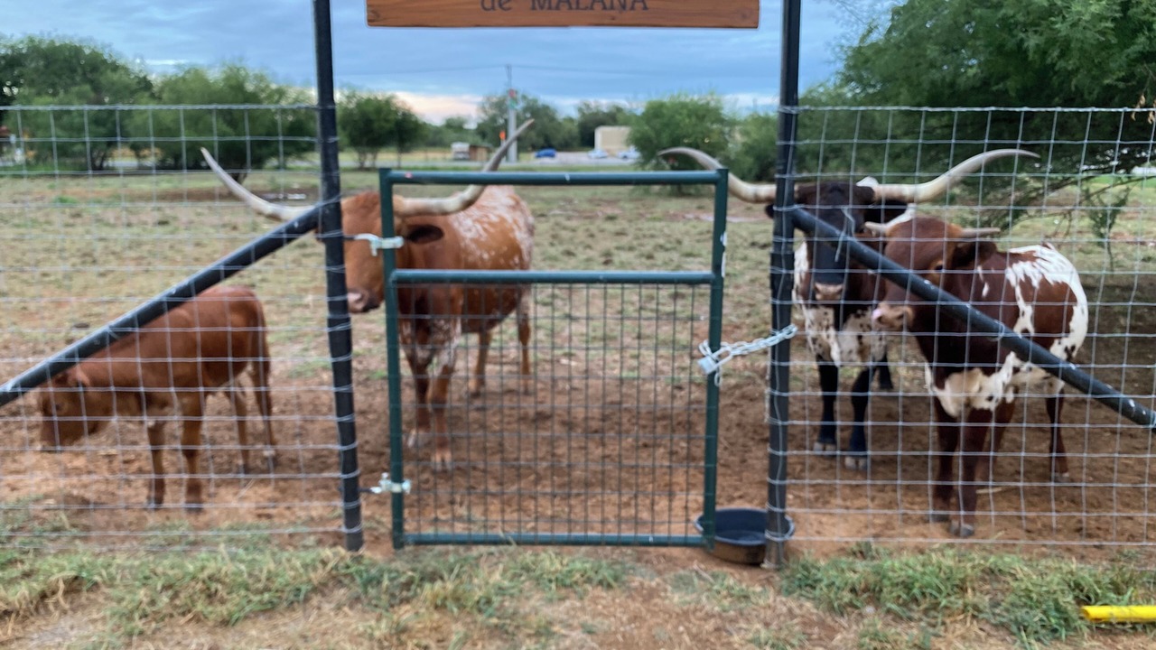 Photo of Outdoor in Cotulla