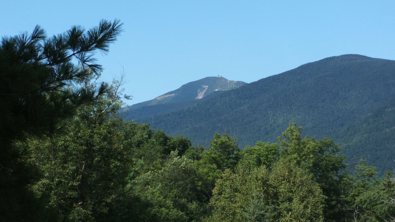 Photo of Others in Wilmington