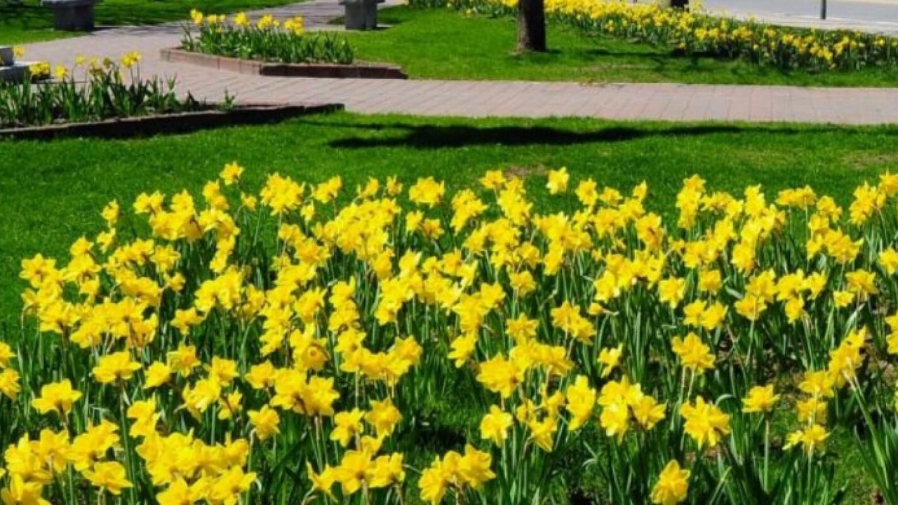 Photo of Others in Wilmington