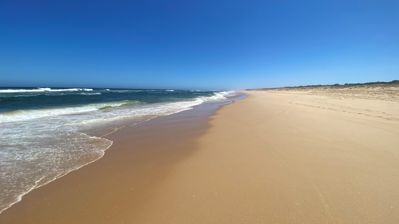 Photo of Others in Frankston South